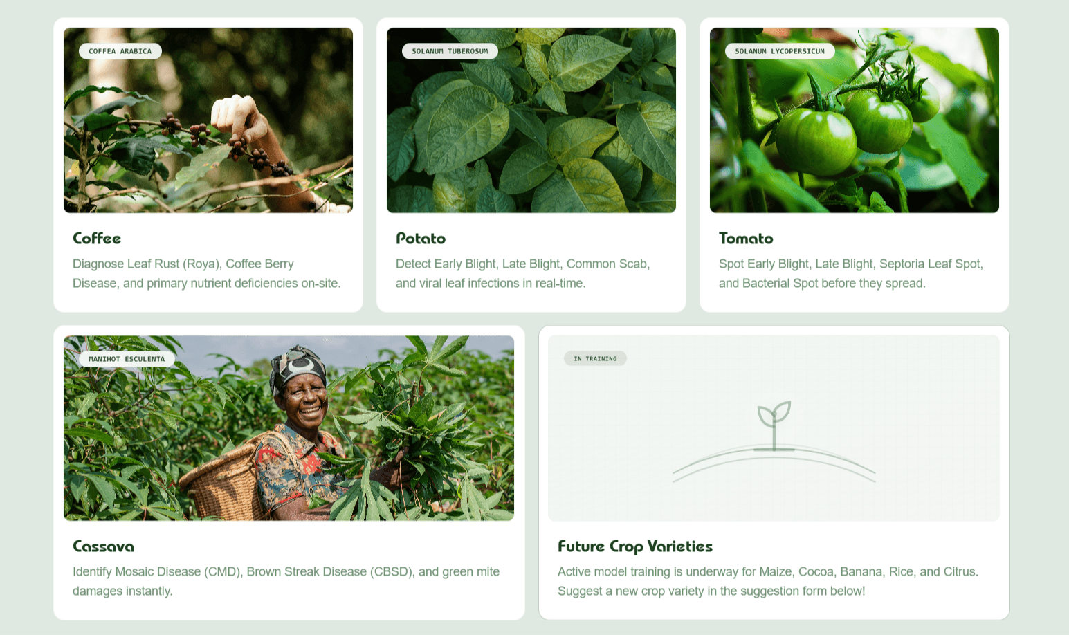 Leafy App Showcase